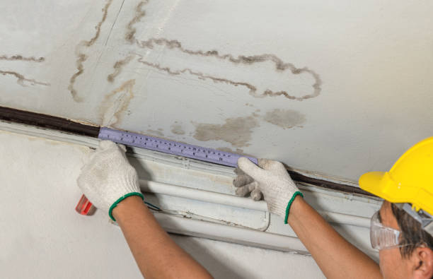 Affordable Water Damage Repair solutions in Fraziers Bottom, WV